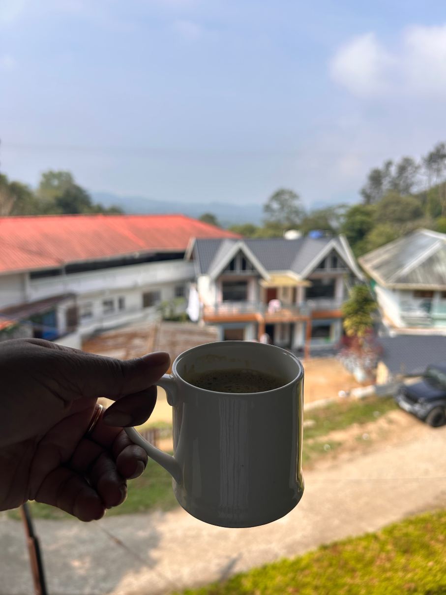 Petra Family Guest House-旅行者