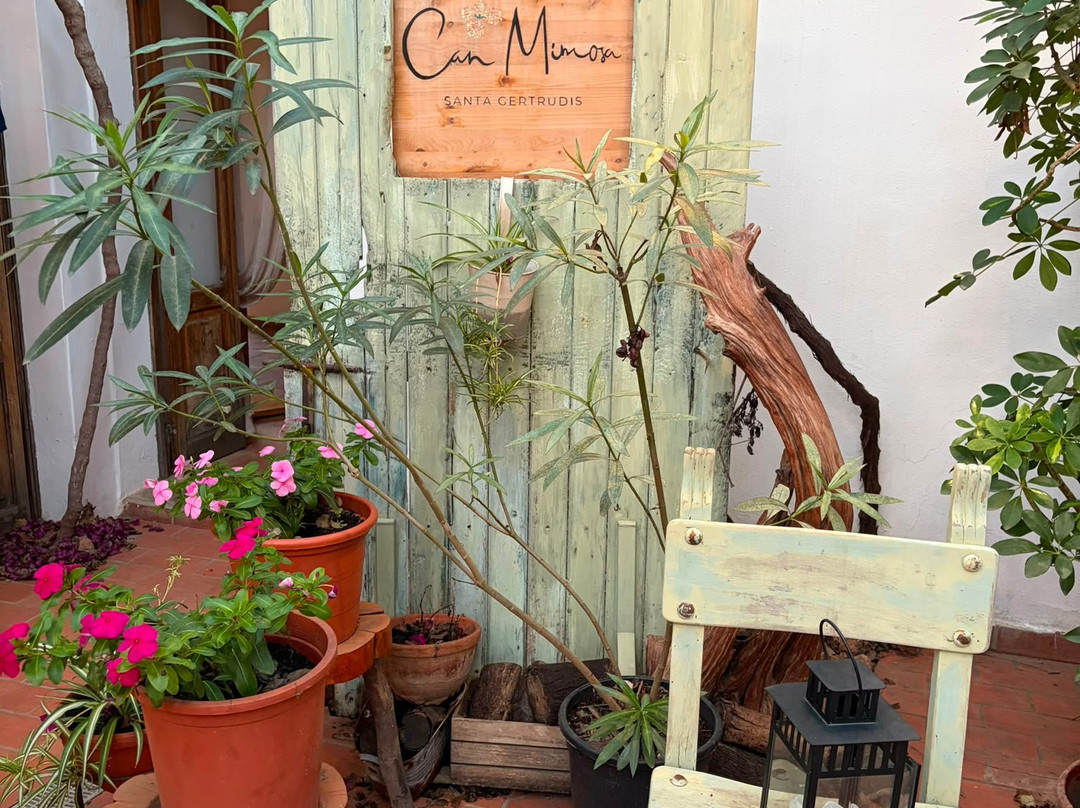 Casa Colonial主图