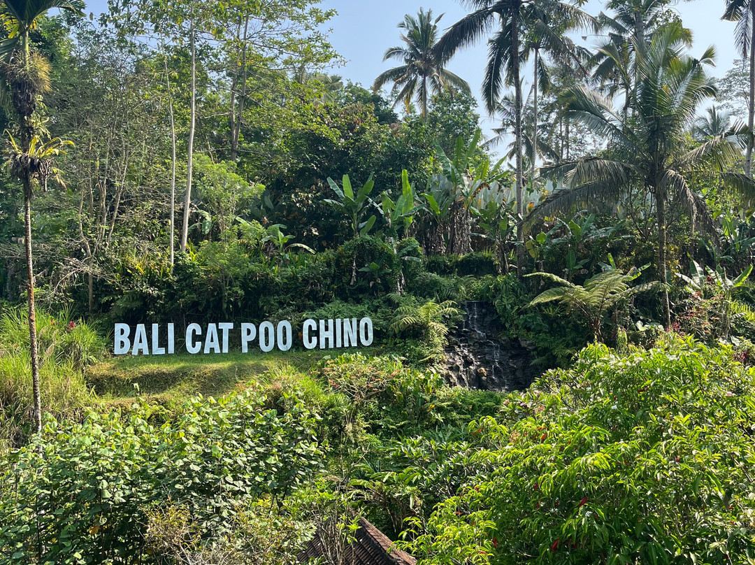 Bali Qhiu Holiday-登巴萨必去景点