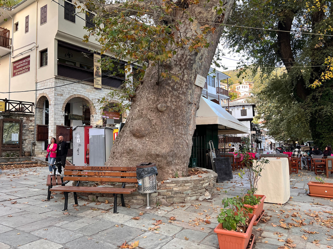 Pelion Culture-沃洛斯必去景点