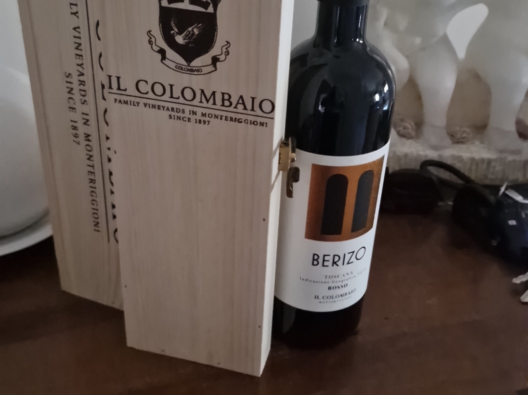Il Colombaio Wine Tasting-蒙特里久尼必去景点