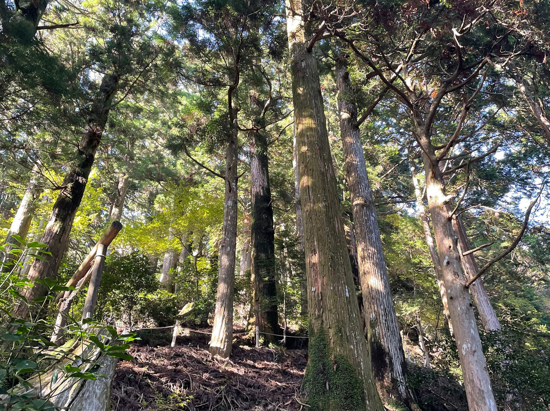 Tamaki Shrine-十津川村必去景点