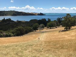 Duder Regional Park-Howick必去景点