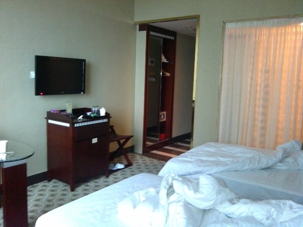 鑫元大酒店-客卧