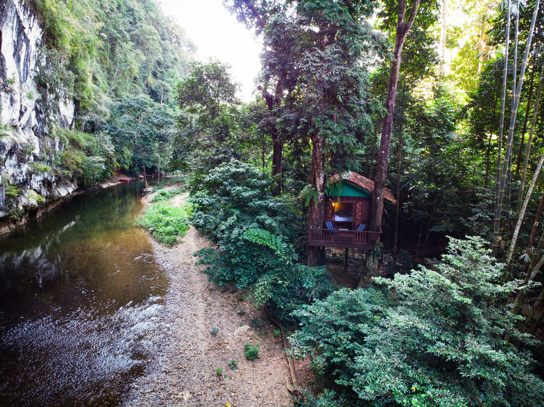 Our Jungle House