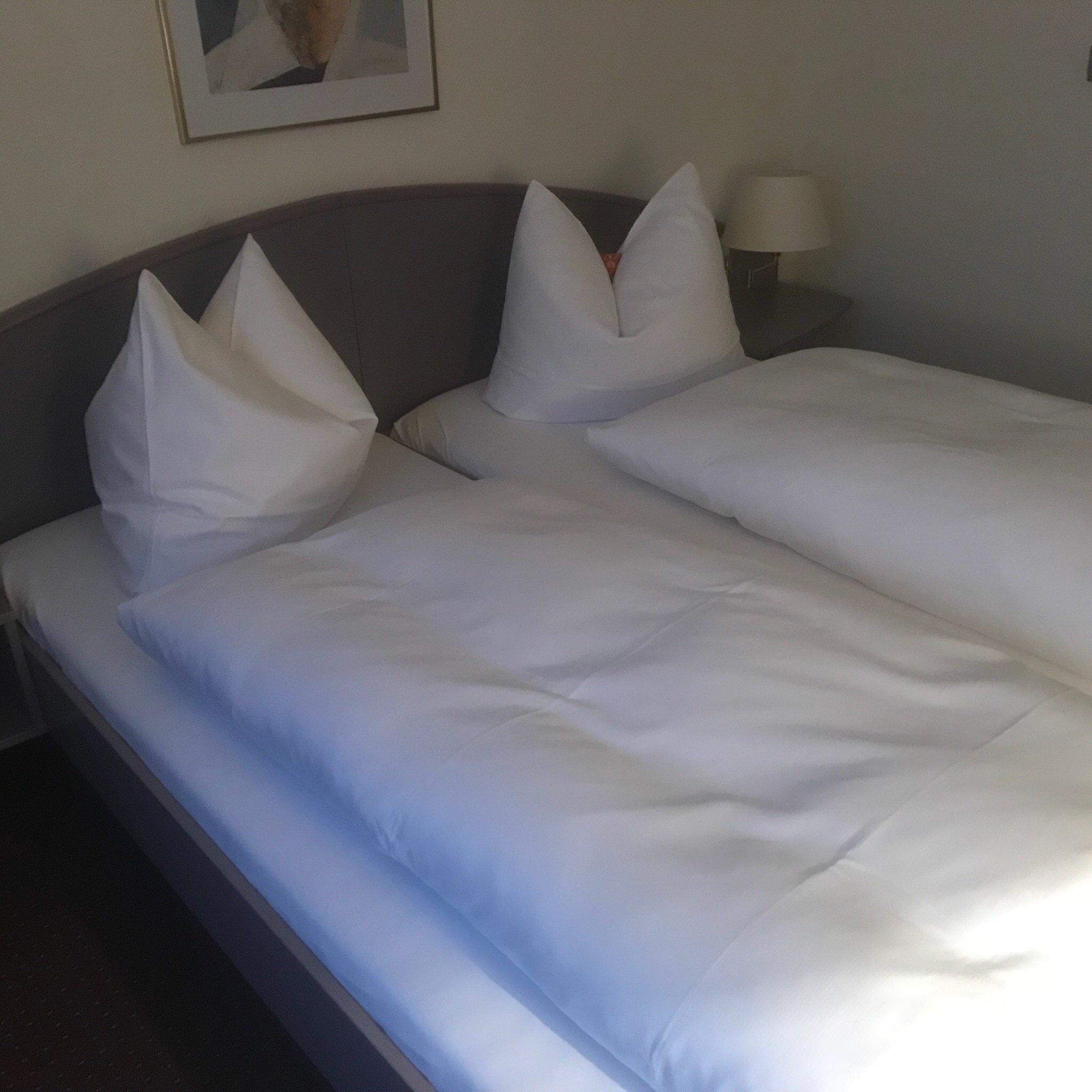 Hotel Erfurter Tor-官方
