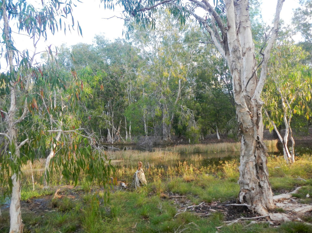 Cook Shire酒店住宿-Musgrave Roadhouse