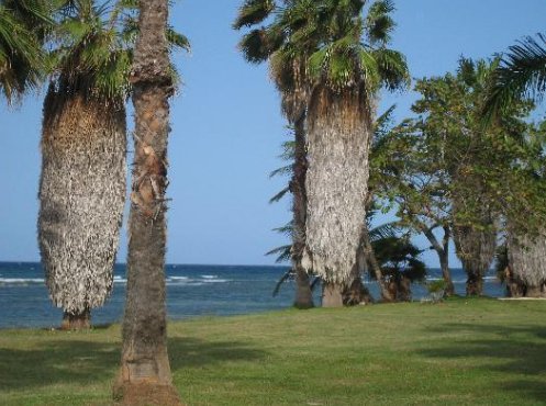 Hotel Casablanca Jamaica-泳池