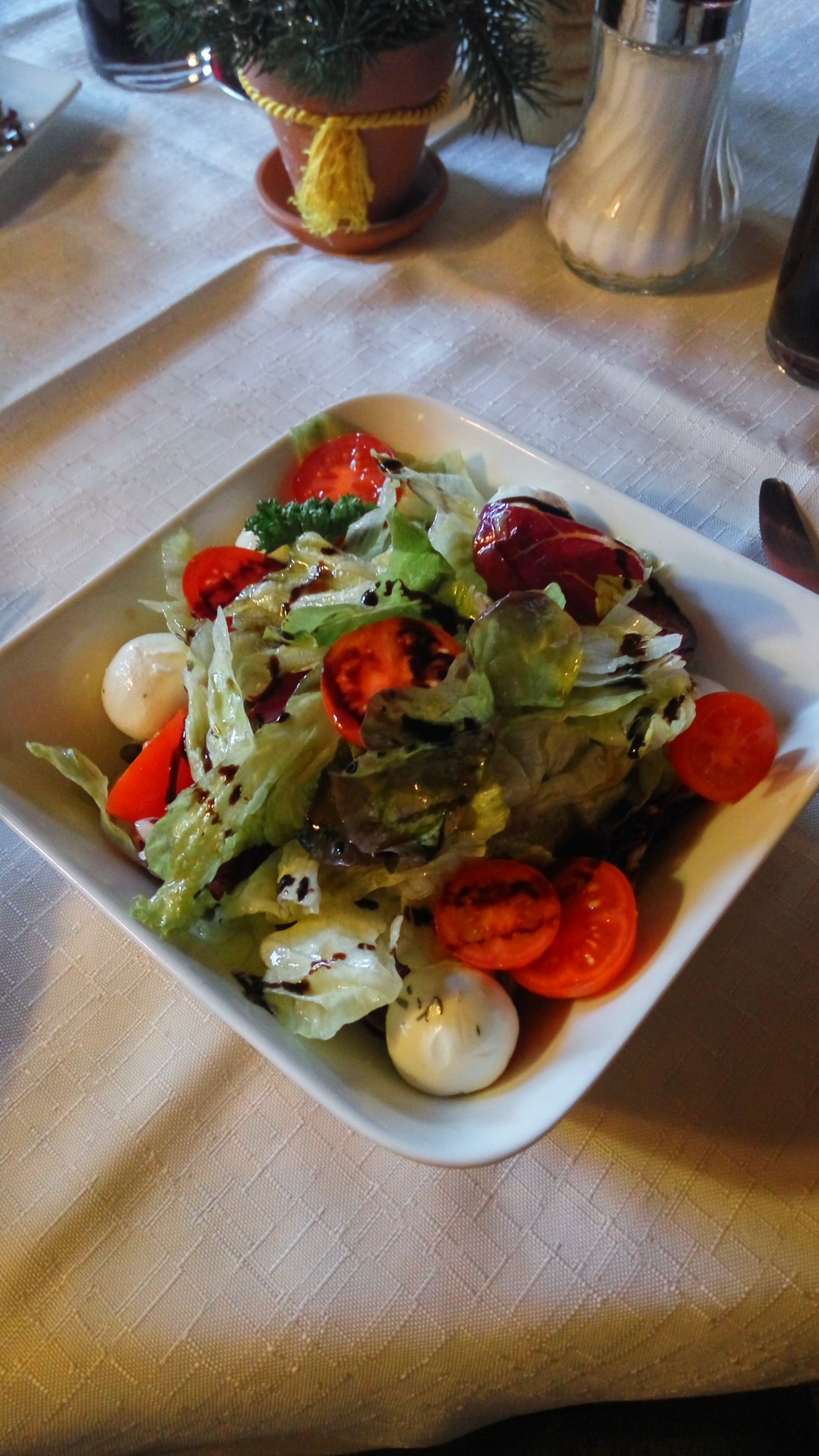 Berghotel Breitmoos-官方