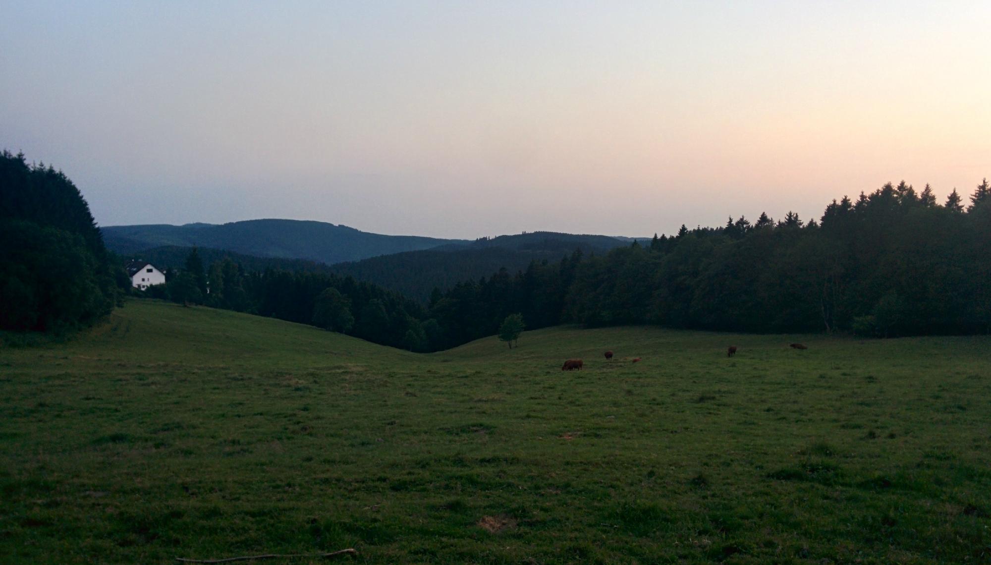 Hotel - Pension Fernblick-酒店景观