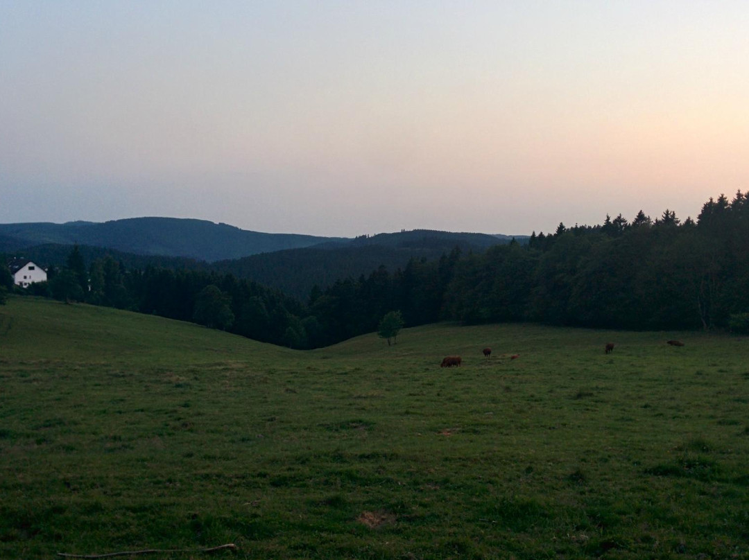 Hotel - Pension Fernblick主图