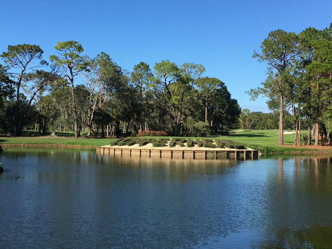 Innisbrook Golf Academy景点图片