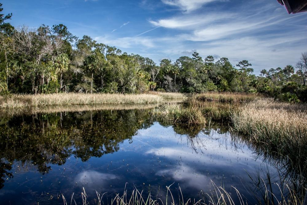 Lower Suwannee National Wildlife Refuge景点图片