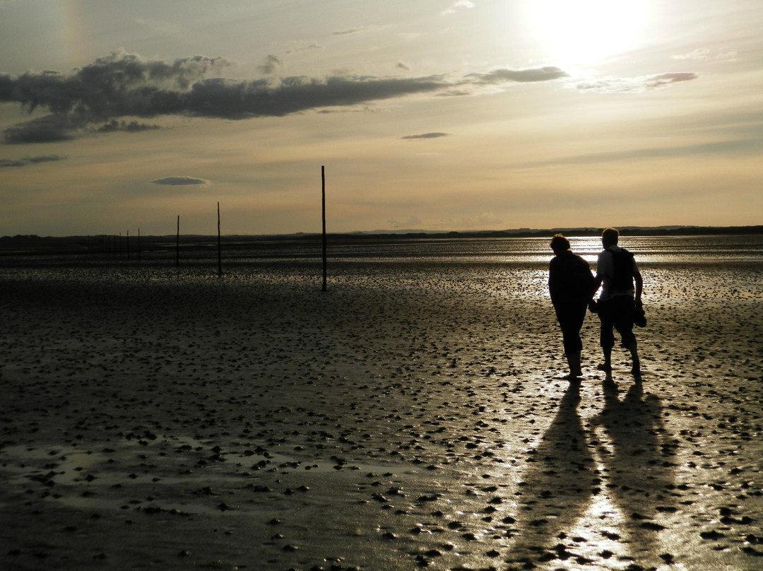 Footsteps - Walking the beauty of Northumberland景点图片