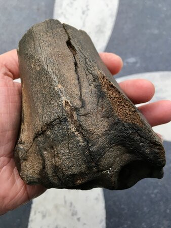 Waddeneiland Texel-特塞尔必去景点