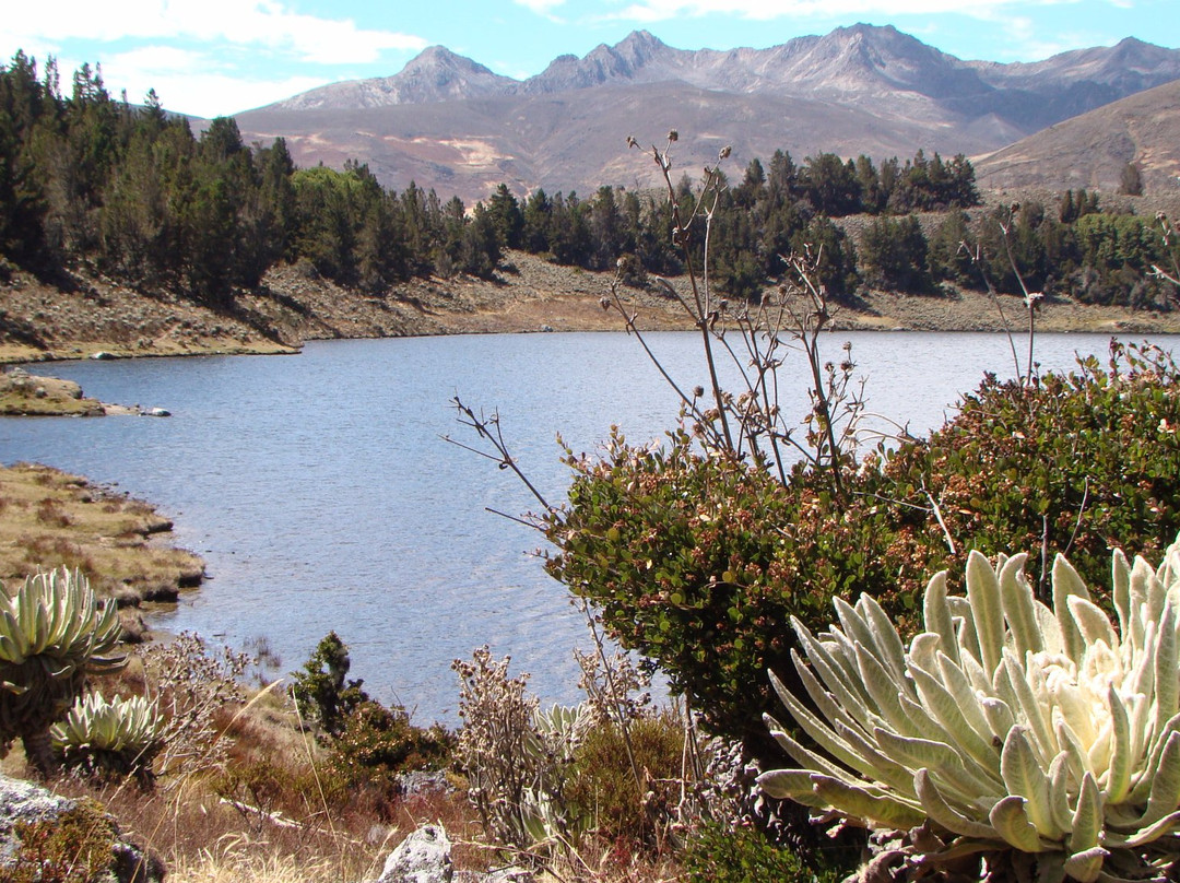 Laguna de Mucubaji景点图片