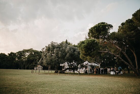 The Old Olive Tree On Brijuni-Brijuni必去景点
