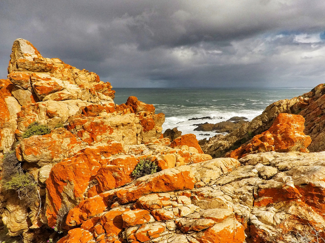 Garden Route Trail-荒野必去景点