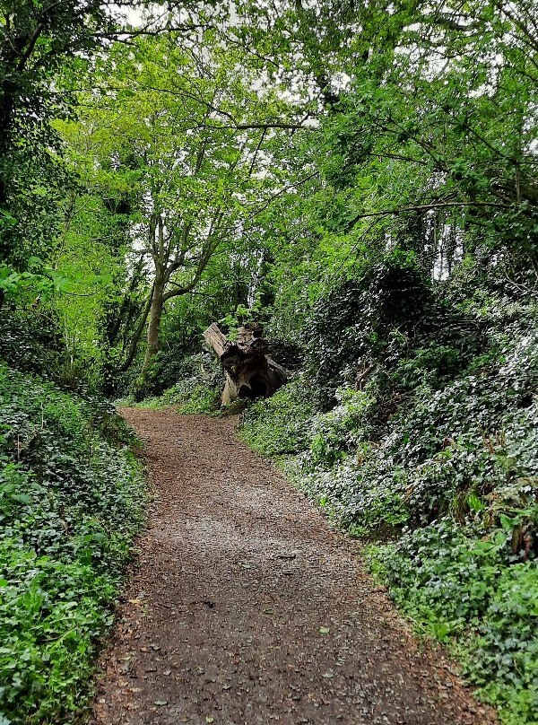 Townley Hall Wood-Tullyallen必去景点