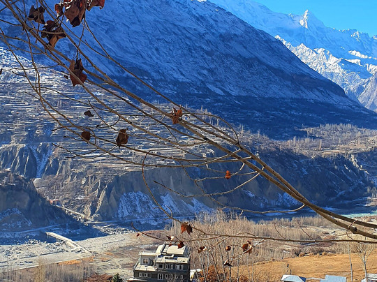 Royal's Adventure Club