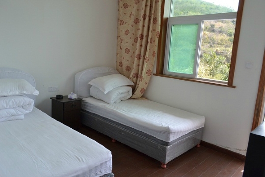 龙闲居旅馆-客卧