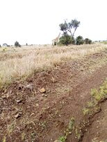 Devine Adventures-内罗毕必去景点