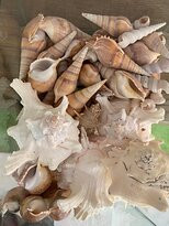 Hotel Chivala Beach主图