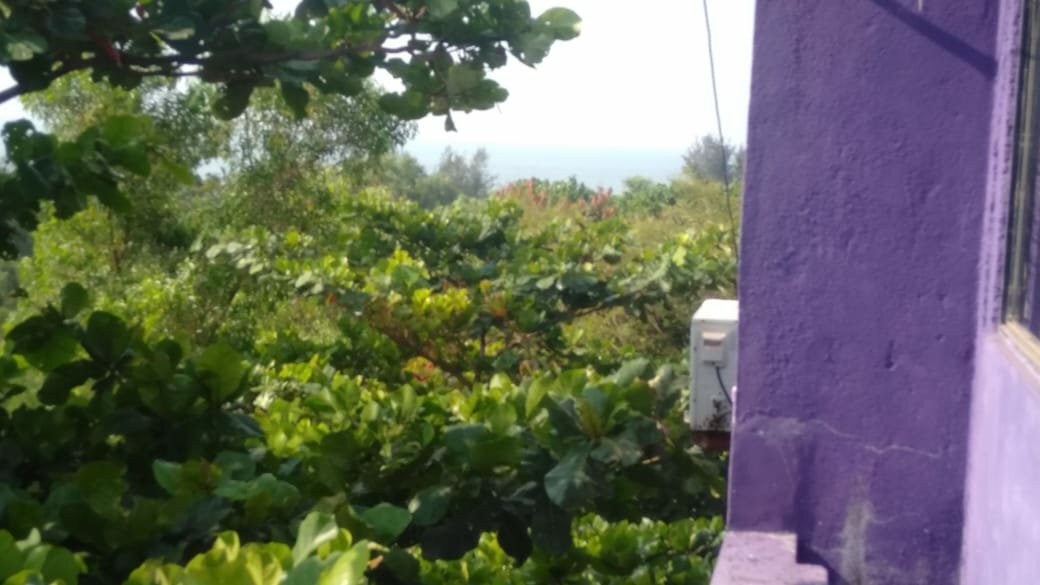 The White feather Hotel主图