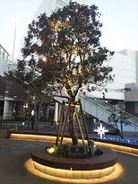 Bono Sagamiono-相模原市必去景点
