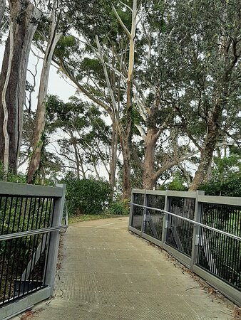 Collingwood Beach-杰尔维斯湾必去景点