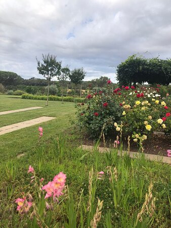 Casa Anamaria Hotel & Villas主图