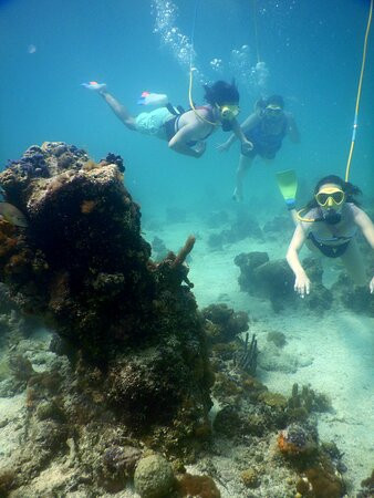 SNUBA Turks and Caicos-普罗维登西亚莱斯必去景点