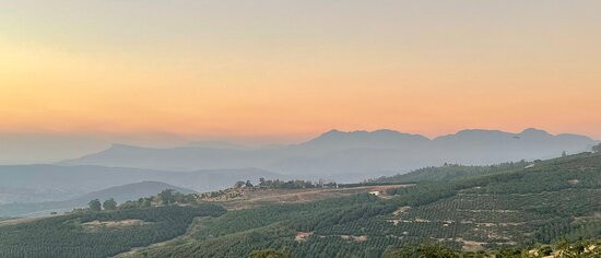 Kings Walden Garden Manor主图