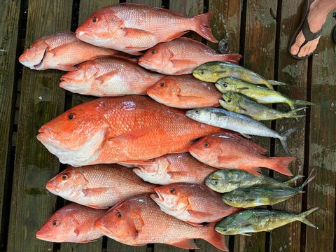 Reel Down Charters-华尔顿堡滩必去景点