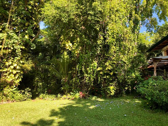 Hotel Amor de Mar主图