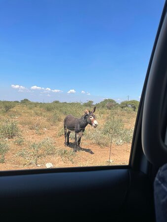 Sabella Private Retreat主图