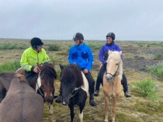 Alhestar Horse Rental and Tours-Thorlakshofn必去景点