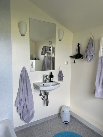 Ondolfsstadir Farm Bed & Breakfast-浴室