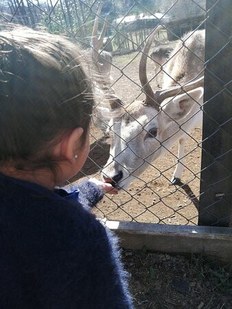 Granja Educativa de Villarrica El Dorado-比亚里卡必去景点