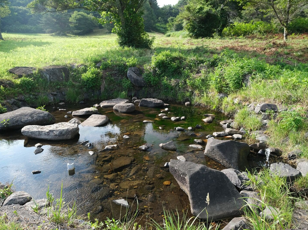 Tobigamori Campsite