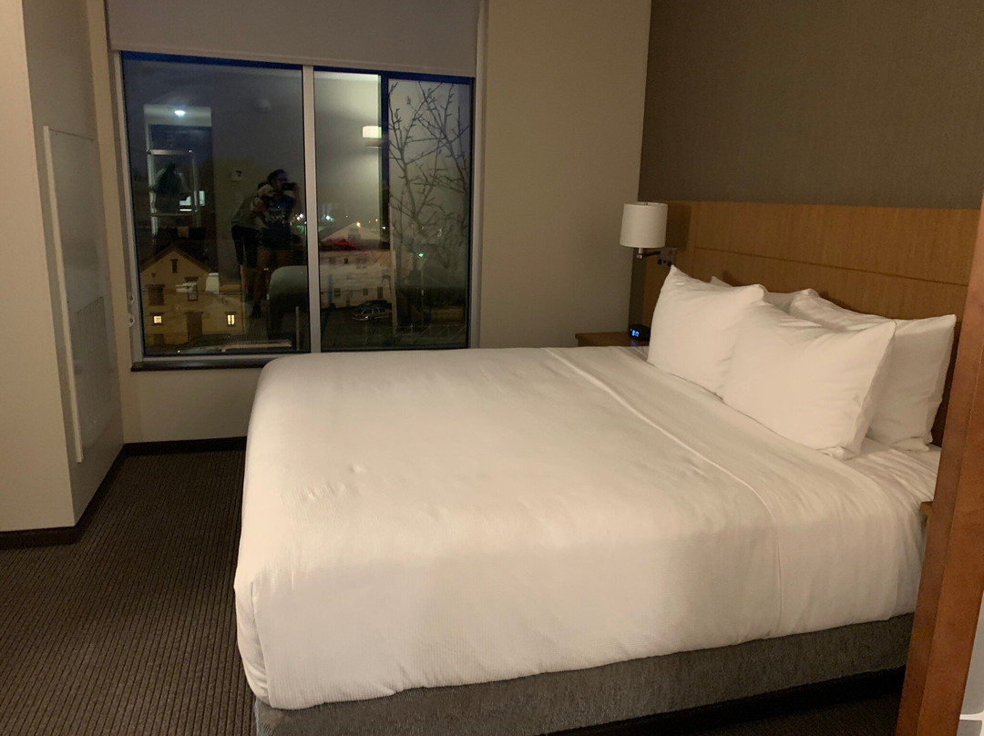 埃文斯维尔酒店住宿-Hyatt Place Evansville / Downtown