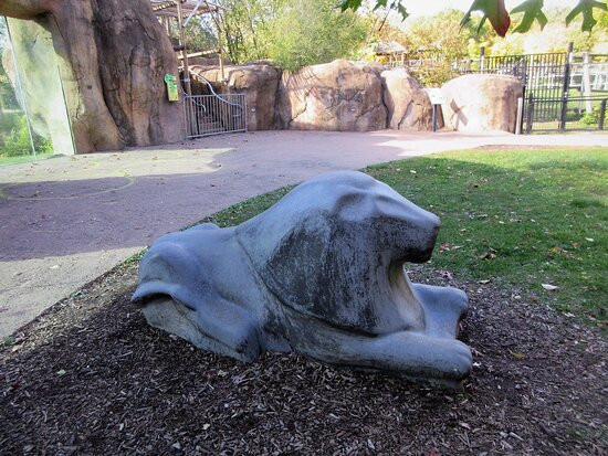 Peoria Zoo-皮奥里亚必去景点