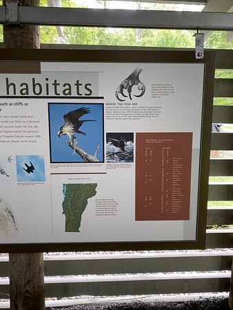 Vermont Institute of Natural Science - VINS-Quechee必去景点