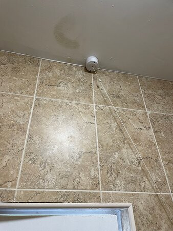 皇家山羊酒店主图