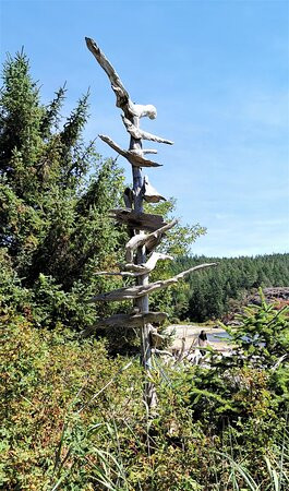 Sargeant Bay Provincial Park-Halfmoon Bay必去景点