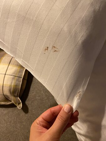 Saracens Head Hotel主图