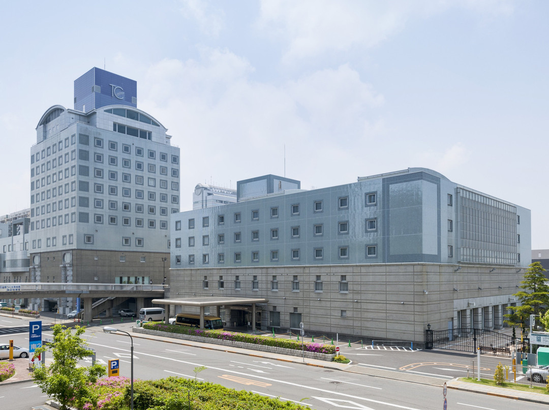 Hotel Nikko Tsukuba主图