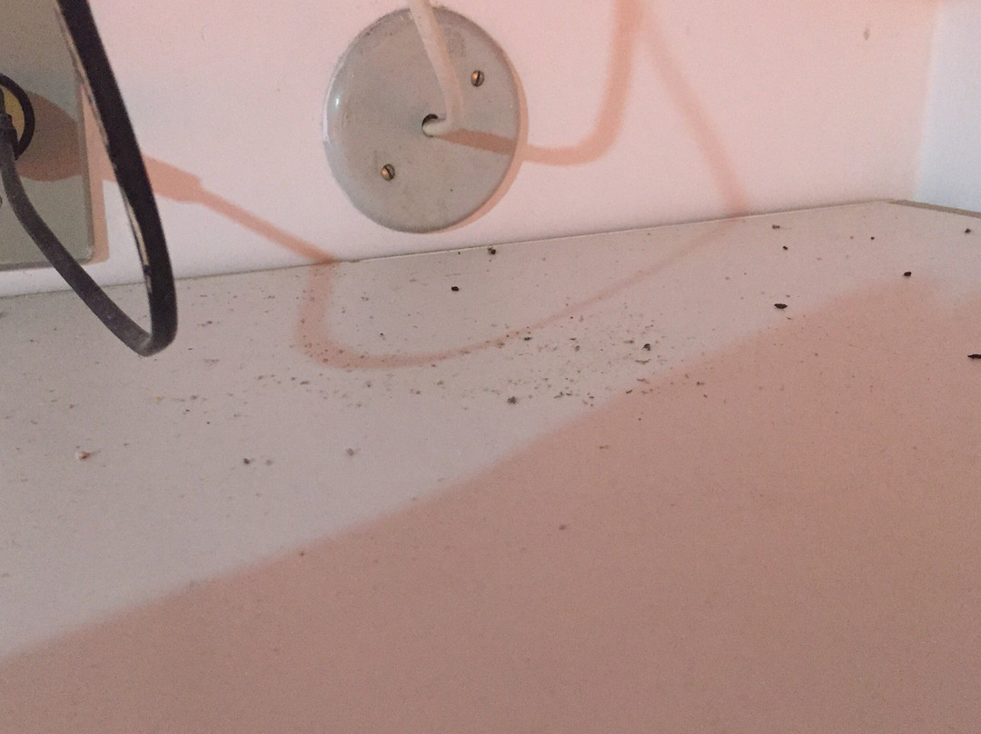 Pousada da J Country主图