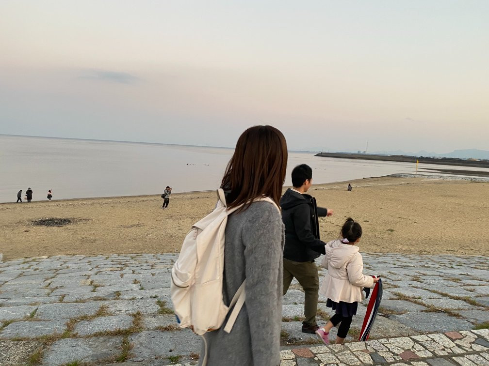 Hamanomiya Beach景点图片