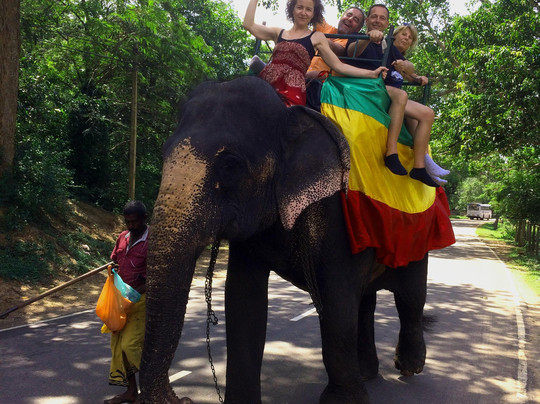 Holiday Dream Travels